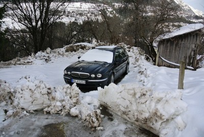 DSC_0081.jpg