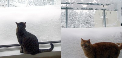 GrigioRossoSnow.jpg