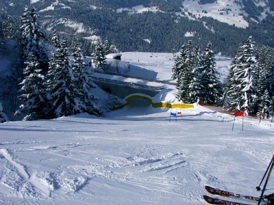 welche Piste.jpg