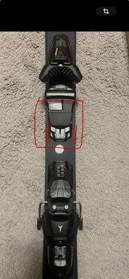8b53d07f-78a5-4ed7-805f-01e96e0c7d16.jpeg