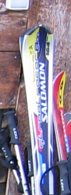 ausschnitt salomon.jpg