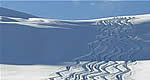Freeriding