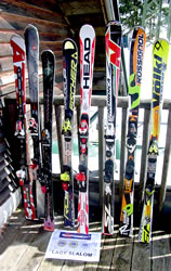 Damen - Slalomcarver - Foto © carving-ski.de